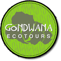 GONDWANA Logo